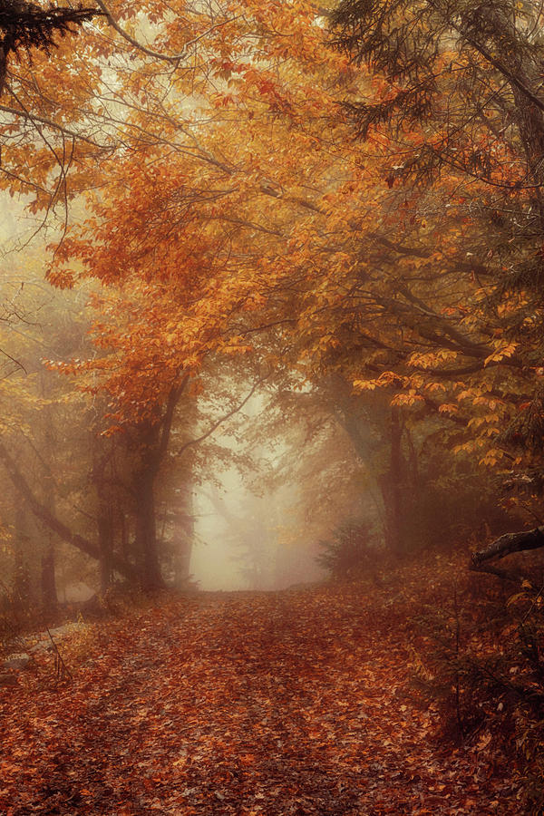 The World of October Photograph by Carrie Ann Grippo-Pike - Fine Art ...