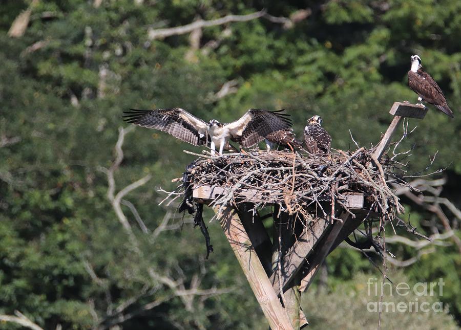 The World Will Be Mine by Karen Silvestri The World Will Be Mine by Karen Silvestri