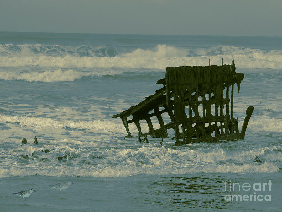 The Wreck of the Peter Iredale Painterly Touch Mixed Media by Beverly Guilliams