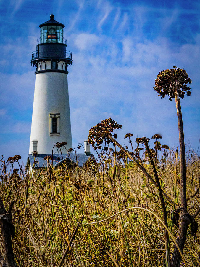 The Yaquina Head Lighthouse - Newport, Oregon Photograph by Jeff Kurtz