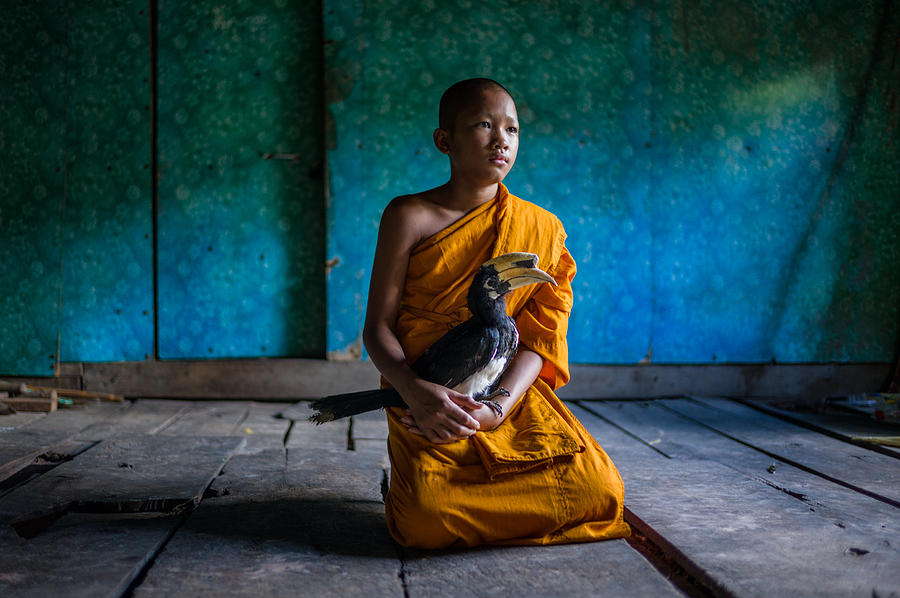 Documentary Photograph - The Young Monk And His Pet Hornbill by Elizabeth Cowle