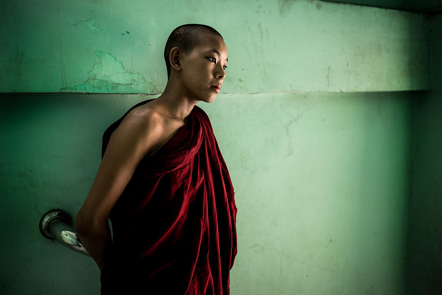 The Young Monk Photograph by Elizabeth Cowle