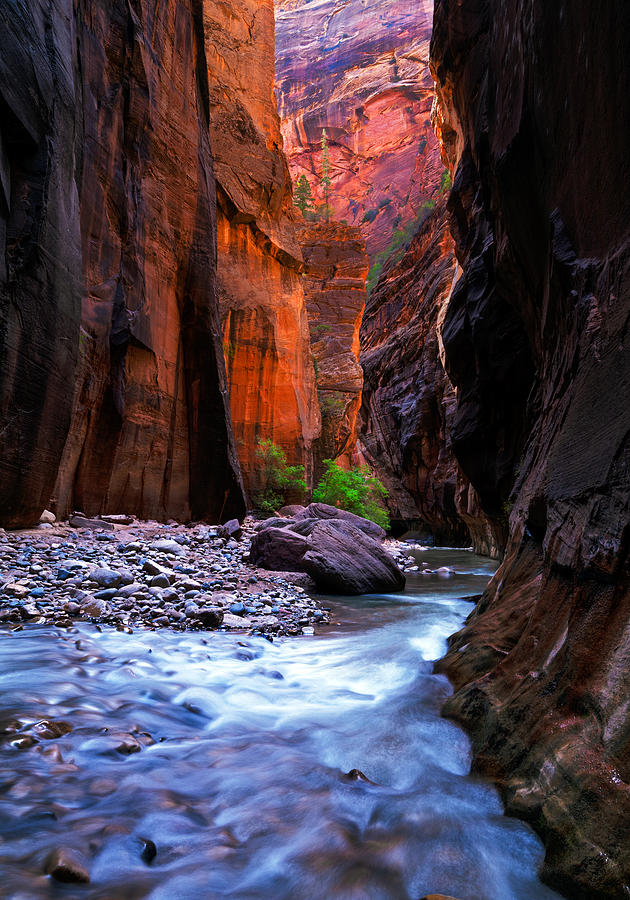 Landscape Photograph - The Zion Glow At Narrows - Zion National Park by Dheeraj Uthaiah