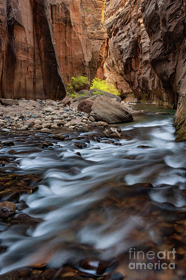 The Zion Narrows in Fall Photograph by Tibor Vari
