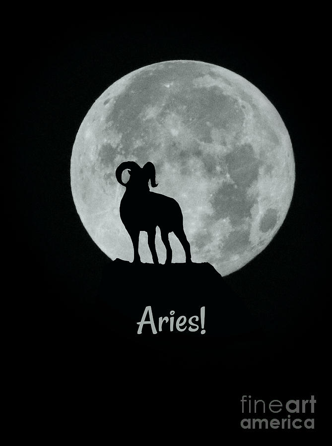 The Zodiac Sign of the Ram Aries Photograph by Stephanie Laird