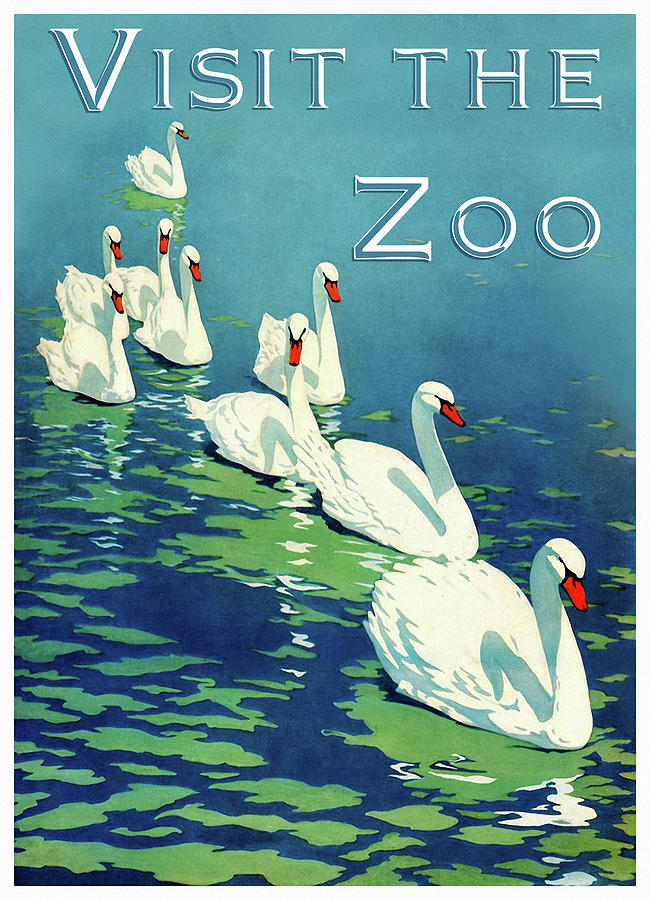 Swan Mixed Media - The Zoo 002 by Vintage Lavoie