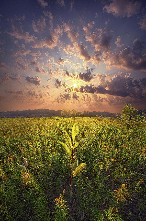 Sunset Photograph - Then Sings My Soul by Phil Koch
