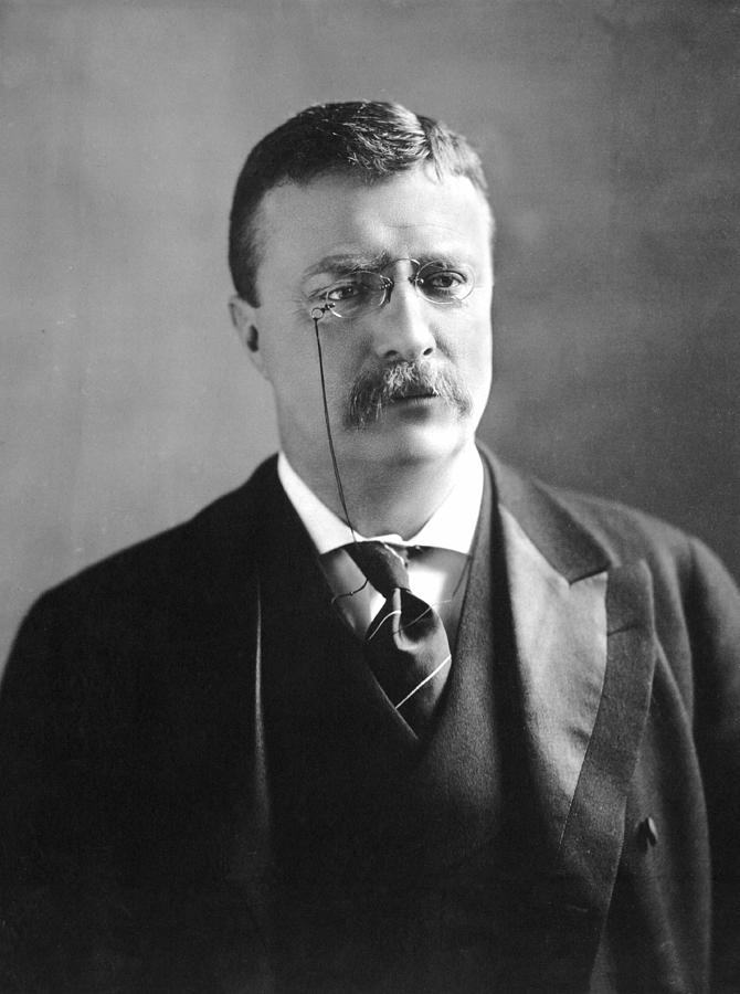 Theodore Roosevelt, 26th President Of The United States  Photo, 1902 Photograph by Unknown