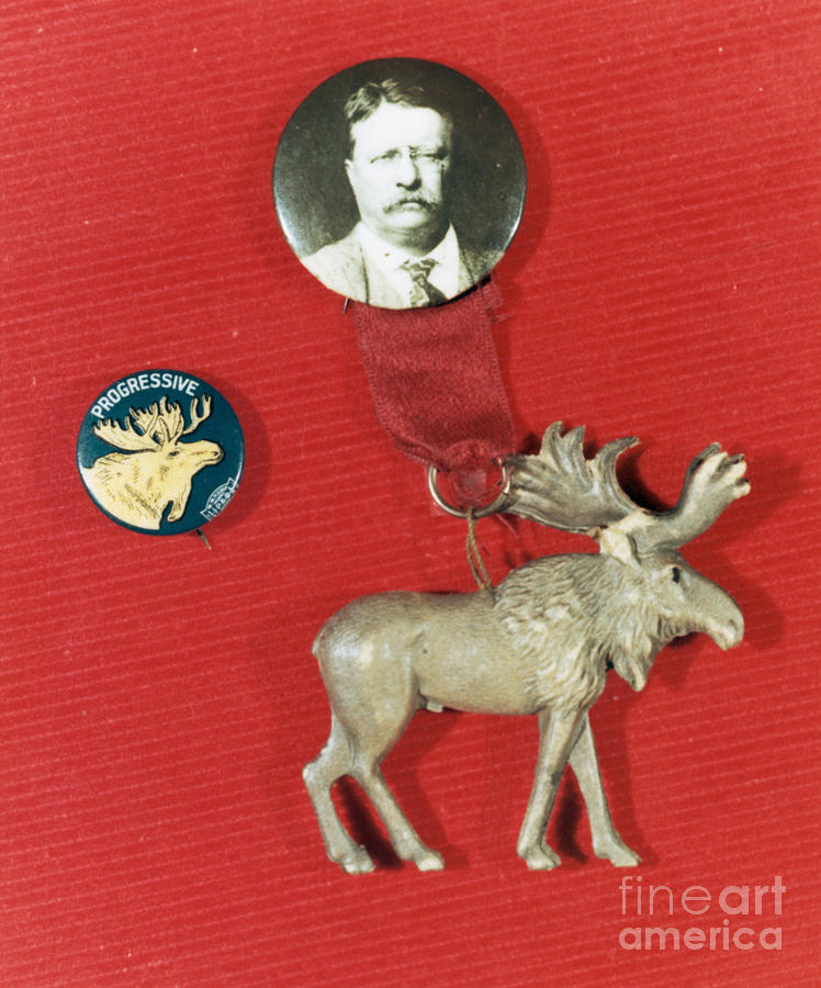 Theodore Roosevelt Campaign Button Photograph by Bettmann