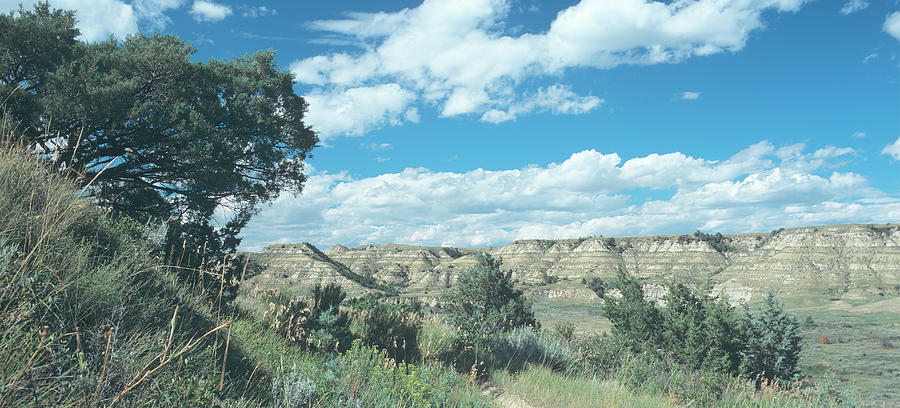 Theodore Roosevelt National Park Photograph - Theodore Roosevelt National Park09 by Gordon Semmens