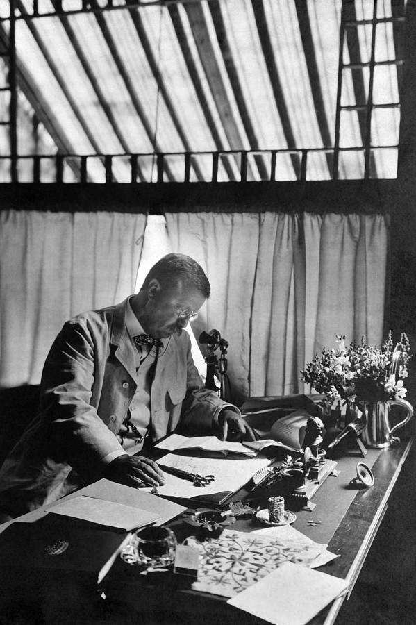 Theodore Roosevelt Working At Desk - Sagamore Hill - 1905 Photograph by War Is Hell Store