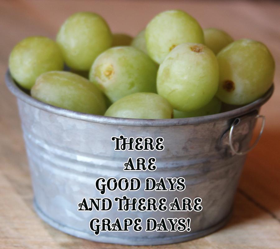 There Are Good Days And There Are Grape Days Photograph