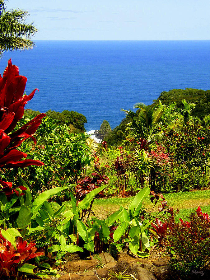 There is a Paradise - Maui Hawaii Photograph by Glenn McCarthy Art and Photography