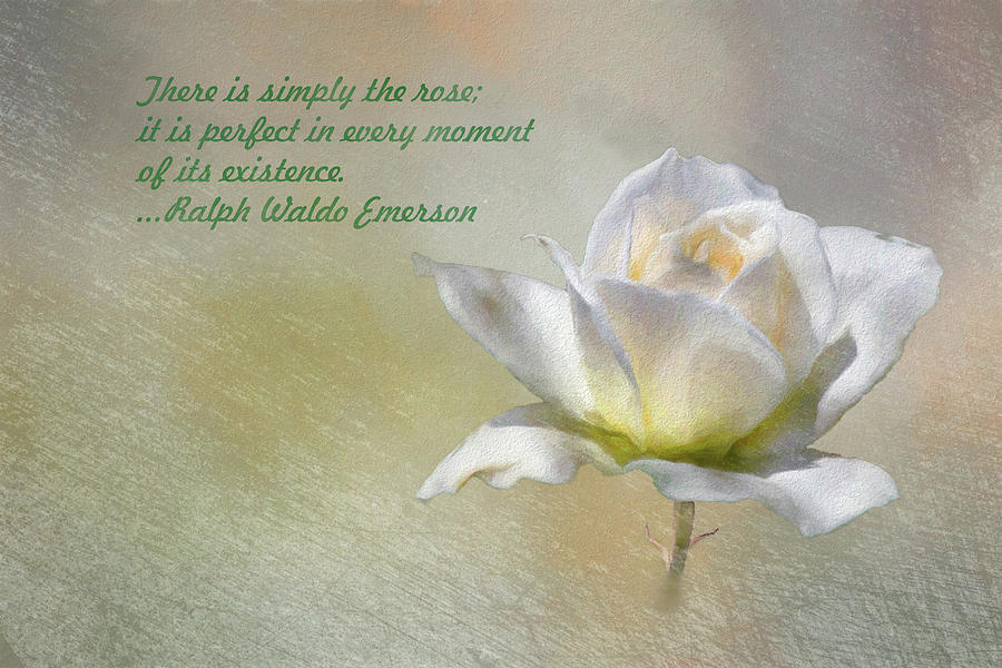 There is Simply the Rose by Emerson Digital Art by Linda Brody