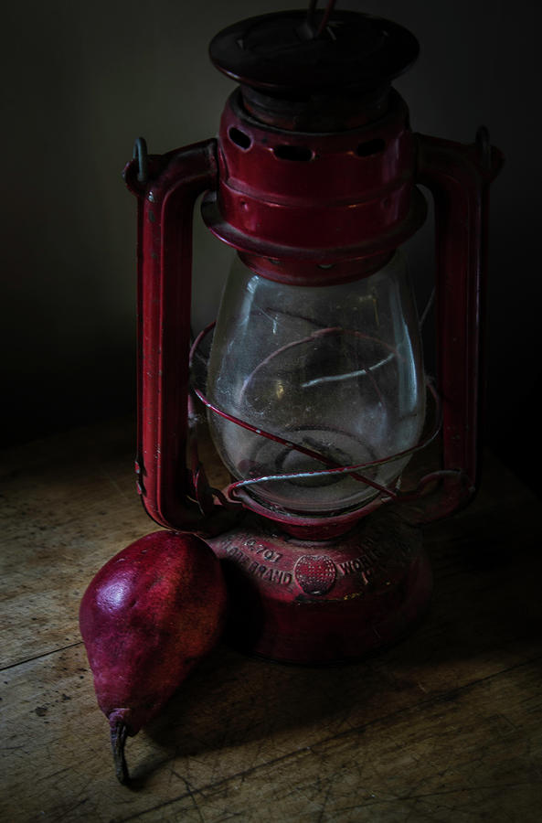  Theres A Light -the Pear Saga - Photograph by Rae Ann  M Garrett