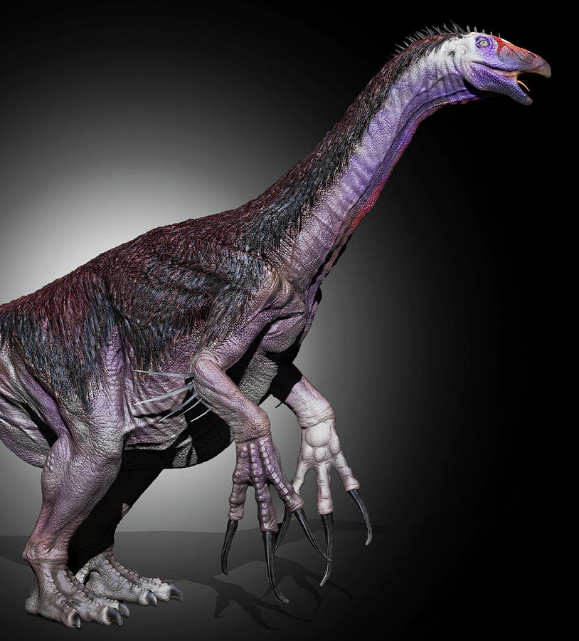 Therizinosaurus Dinosaur, Side View Photograph by Robert Fabiani - Pixels