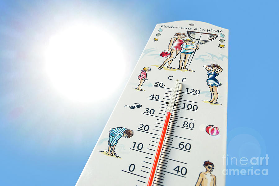 Thermometer Photograph by Arterra Picture Library