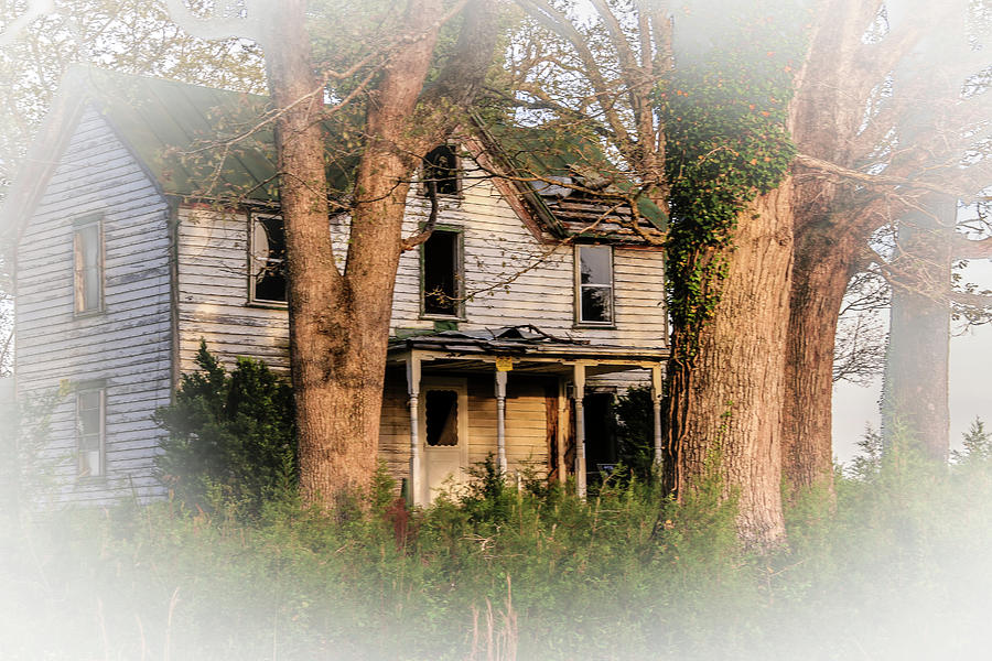 These Old Houses Photograph