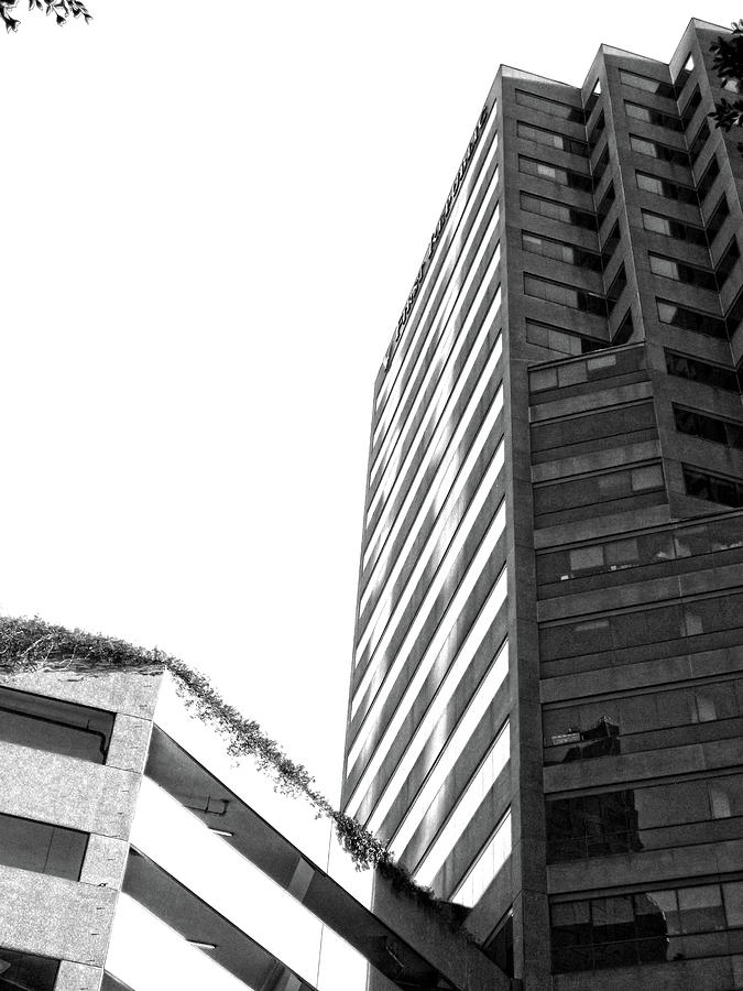 Thick Lines On Plane Black and White by Hold Still Photography Thick Lines On Plane Black and White by Hold Still Photography