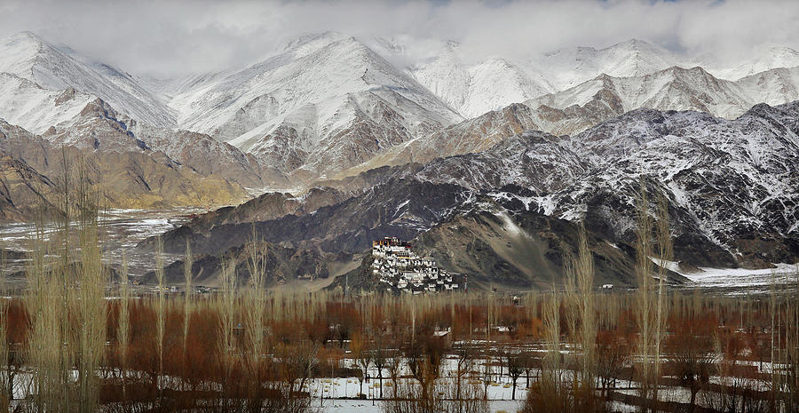 Thikse Monastery & Mountains In Snow Photograph by Timothy Allen