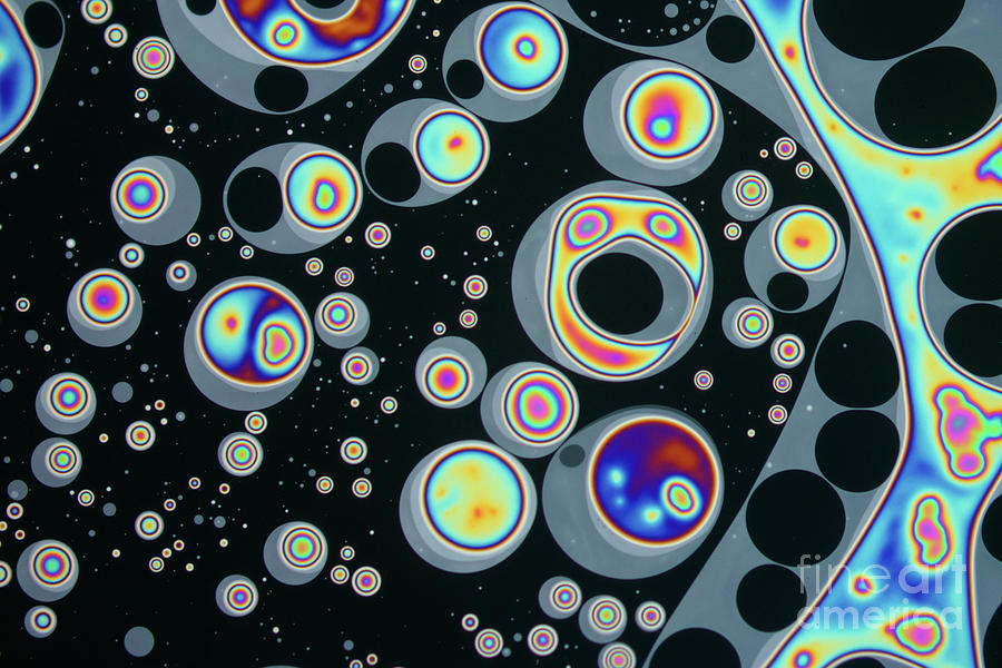 Thinfilm Interference On Soap Bubble Photograph by Karl Gaff / Science Photo Library