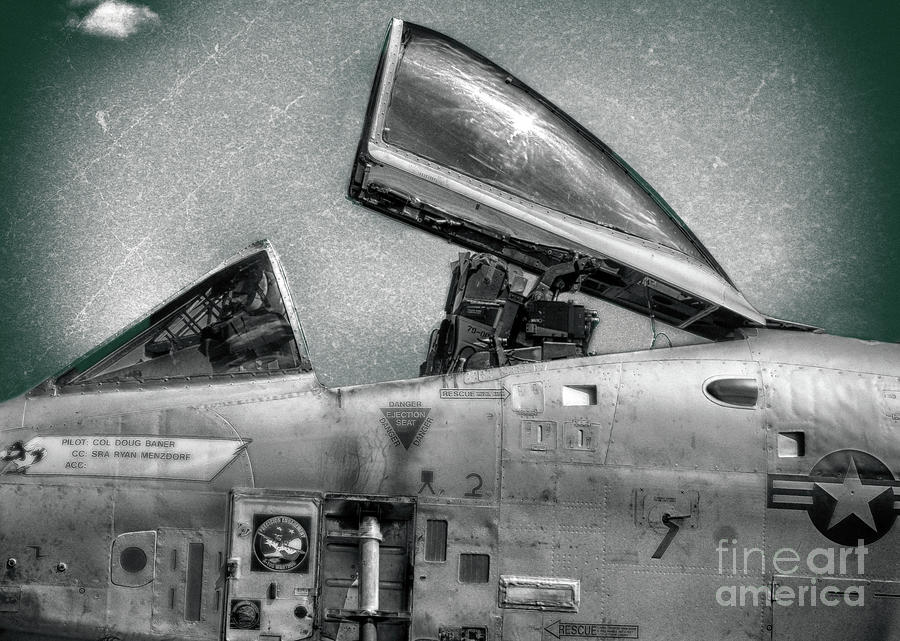 Warthog Photograph - Things That Eject by Steven Digman Warthog Photograph - Things That Eject by Steven Digman