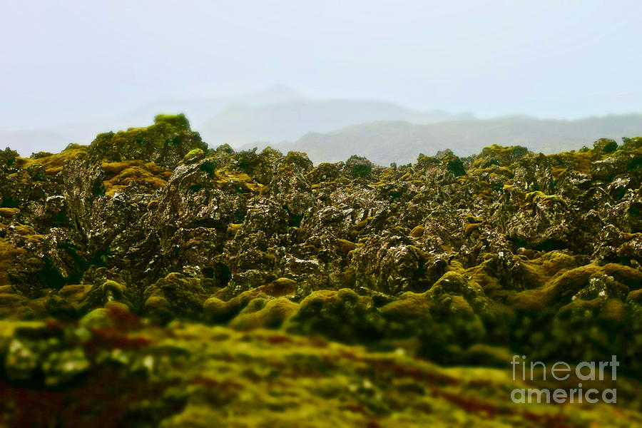 Thingvellir Landscape Photograph by Debra Banks