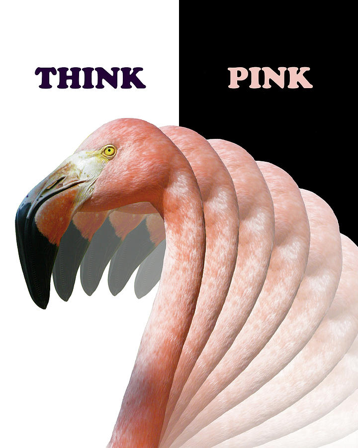 Think Pink Flamingo Mixed Media by Willow Way Studios, Inc. - Fine Art ...