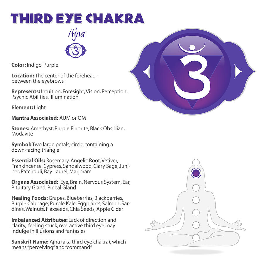 Third Eye Chakra Chart Digital Art by Serena King