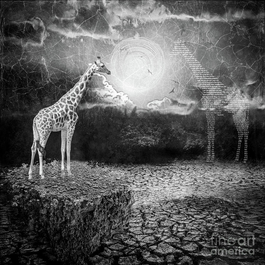 Black And White Mixed Media - Thirsty Giraffe BW by Elisabeth Lucas