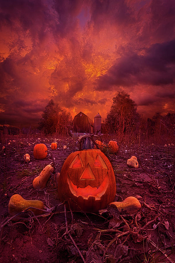 This Is Halloween Photograph by Phil Koch
