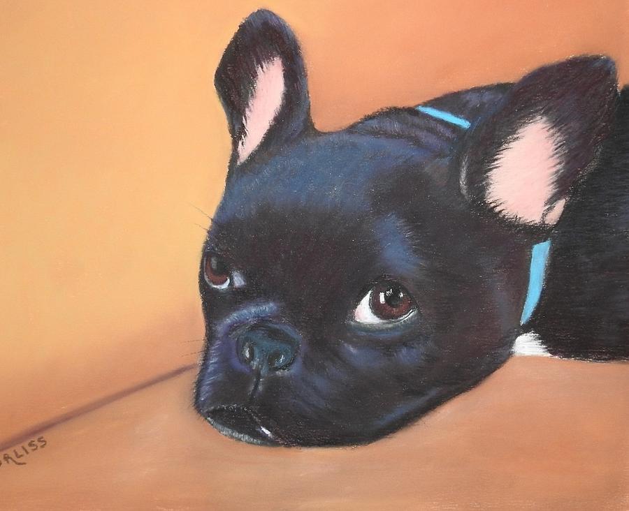 This Is Max Pastel by Carol Corliss