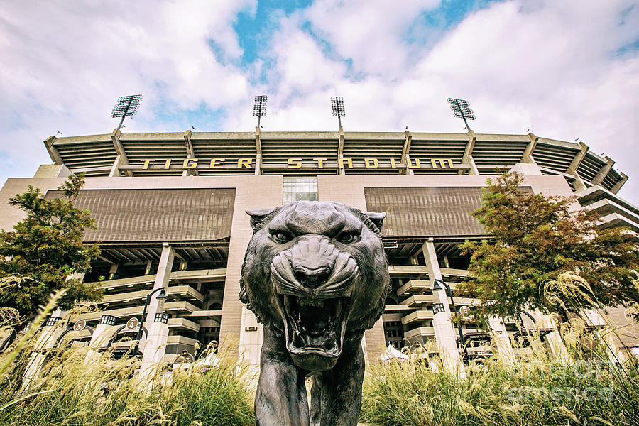 This is Where the Tigers Play Photograph by Scott Pellegrin