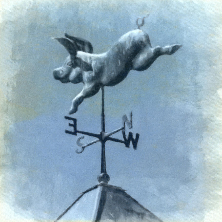 This Little Piggy - Weather Vane Photograph by Leslie Montgomery