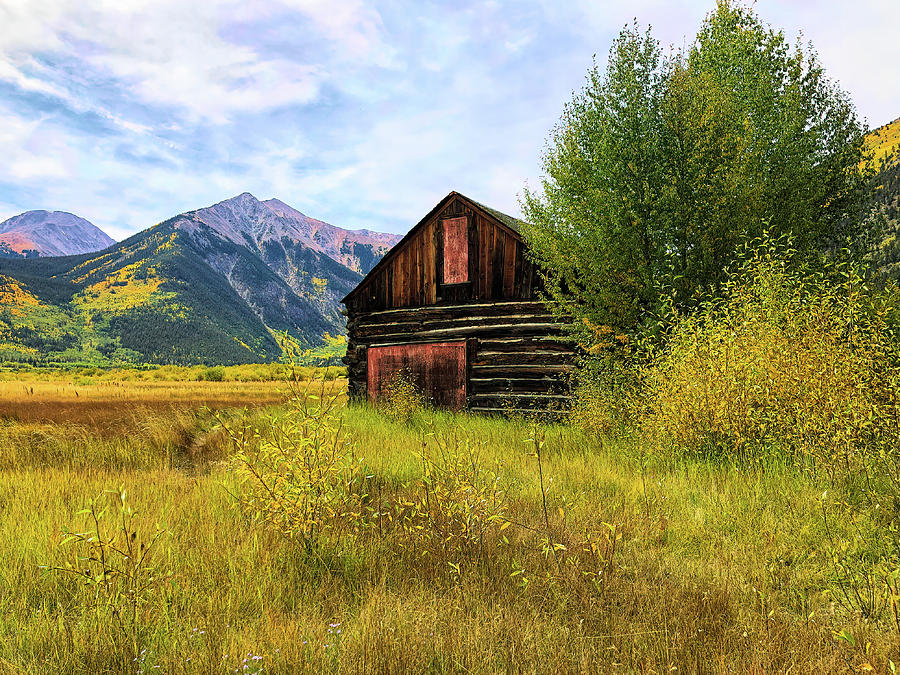 This Old Cabin 1 Photograph