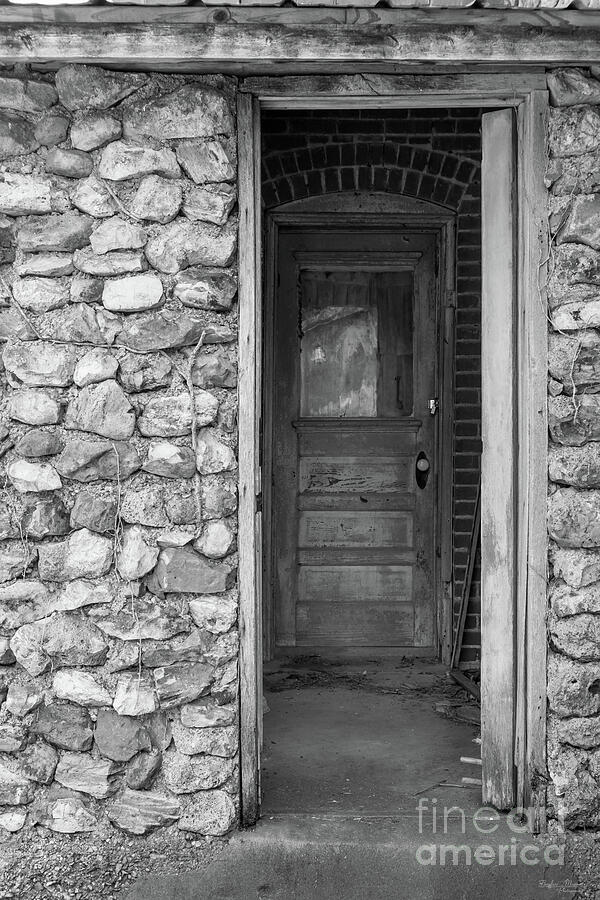 This Old Doorway Grayscale Photograph by Jennifer White