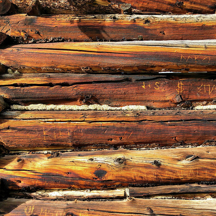 This Old Wood Photograph by Eric Glaser
