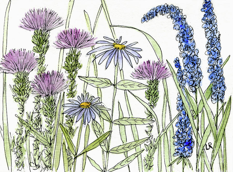 Thistle Asters Blue Flower Watercolor Wildflower Painting by Laurie Rohner