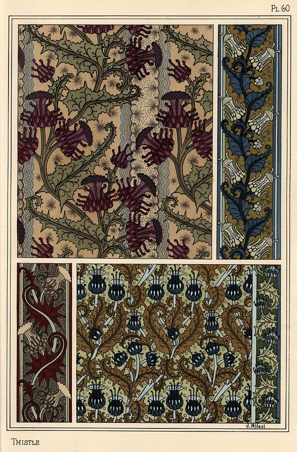 Thistle in art nouveau patterns for wallpaper and fabrics. Lithograph by M. P. Verneuil. Drawing by Album