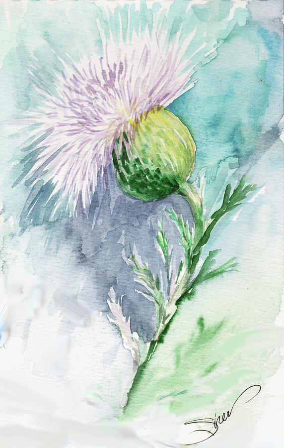 Flower Mixed Media - Thistle Watercolor Sketch by Sher Sester