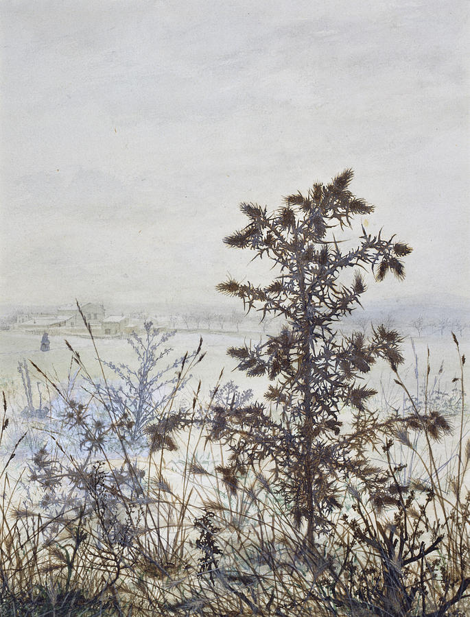 Thistles and Weeds Drawing by Leon Bonvin