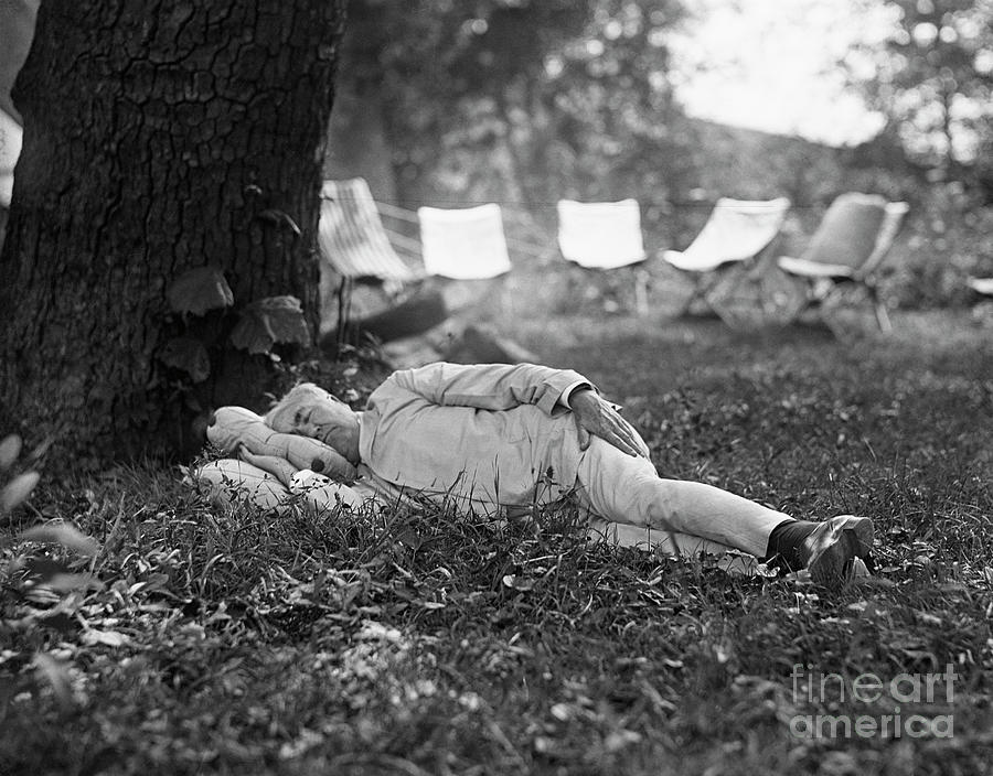 Thomas Edison Taking Nap Under A Tree Photograph by Bettmann