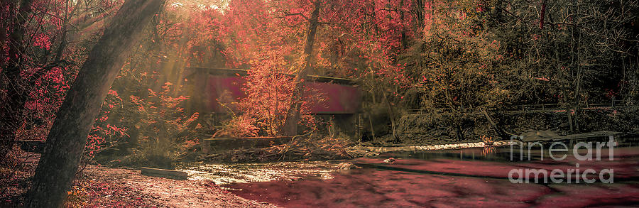 Thomas Mill Covered Bridge 1115b Photograph by Howard Roberts
