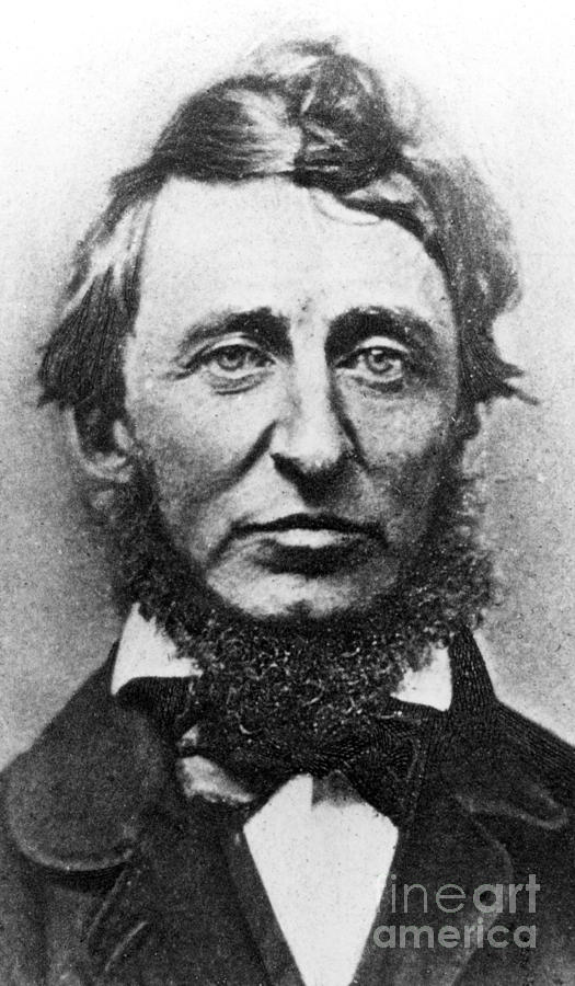 Thoreau  Photograph by American School