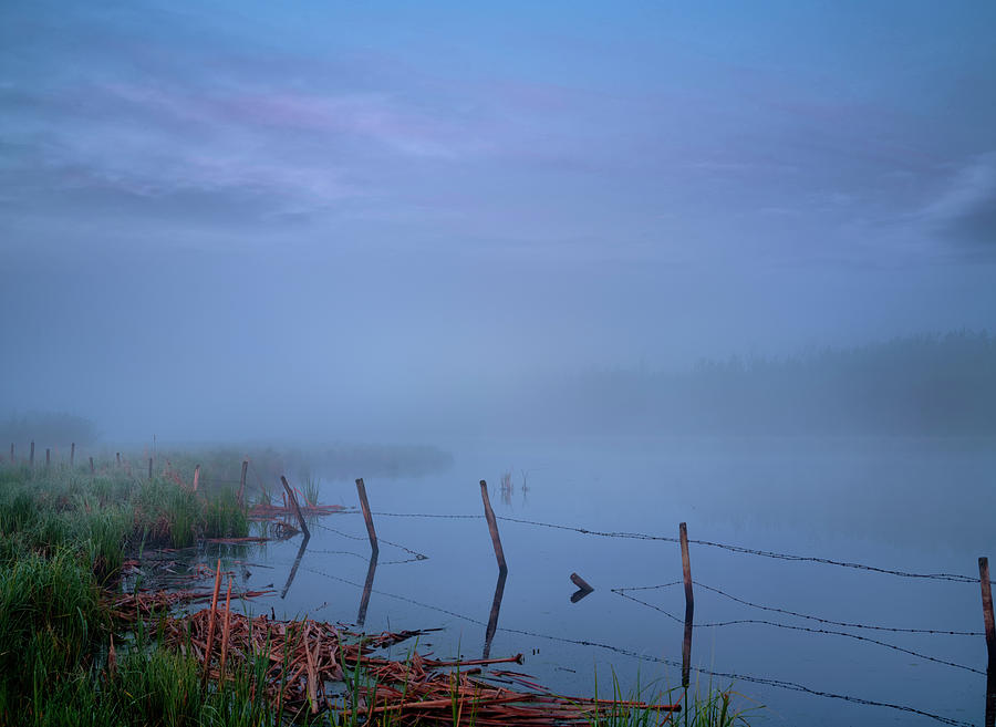 Thorhild Pond Photograph by Dan Jurak