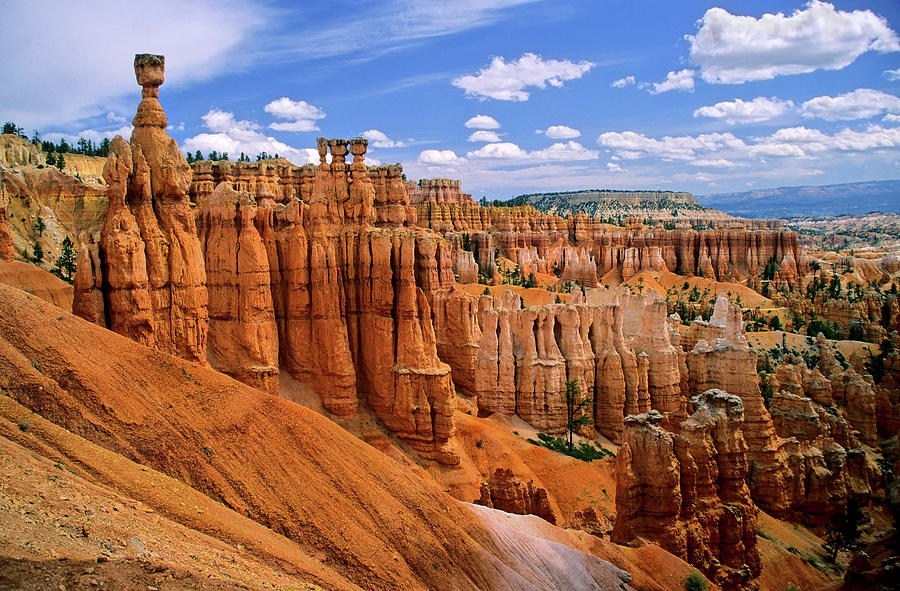 Thors Hammer, Bryce Canyon Photograph by Jacobh