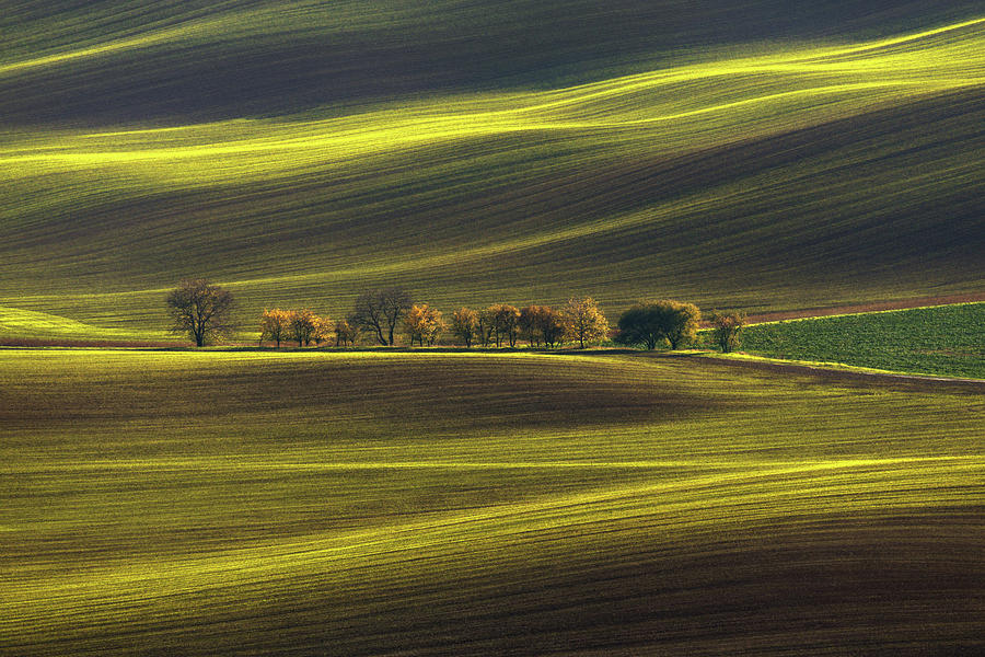 Threads of Lights by Vlad Sokolovsky Threads of Lights by Vlad Sokolovsky