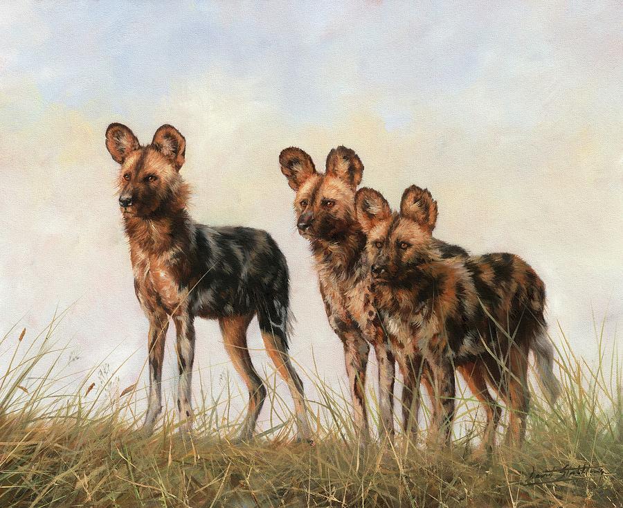 Three African Wild Dogs Painting by David Stribbling