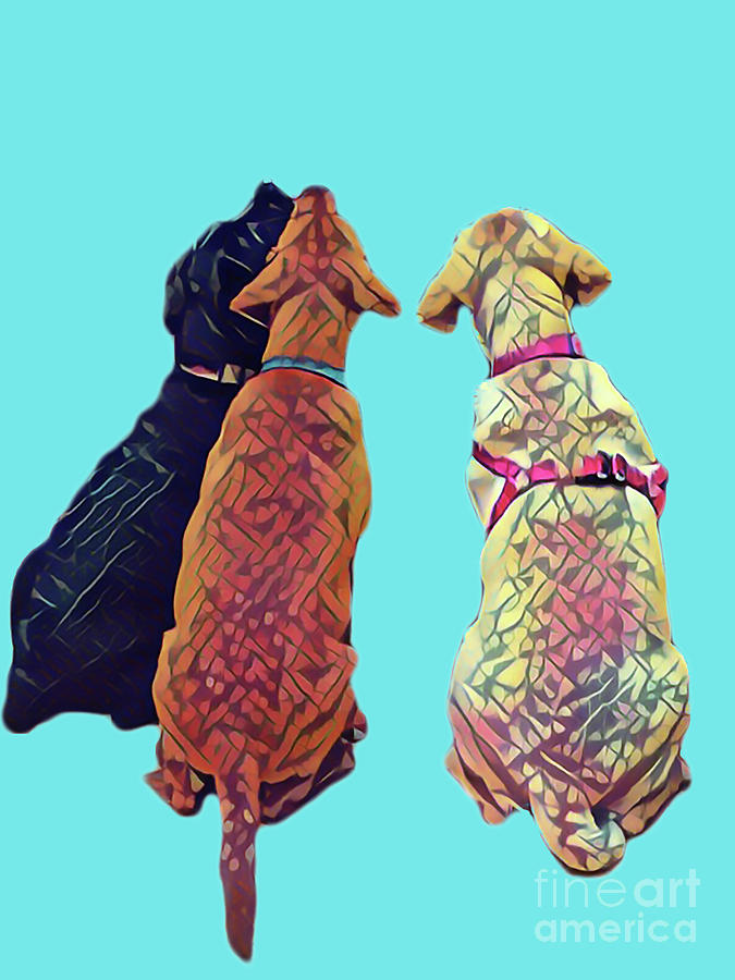 Dog Digital Art - Three Amigos I in aqua by Jackie MacNair