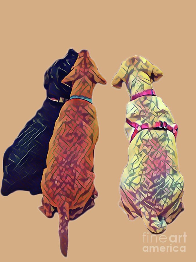 Dog Digital Art - Three Amigos I in tan by Jackie MacNair